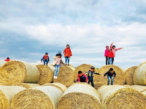 河北旅游防坑指南