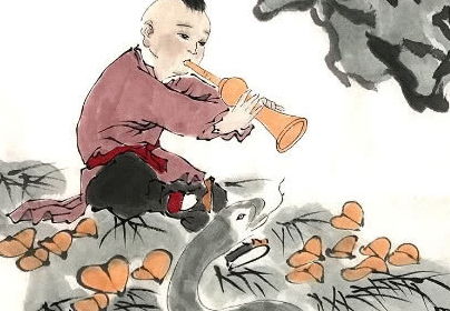 四处奔波和奔波劳碌分别对应哪个生肖？
