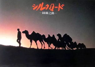 一、 丝路之源：探寻历史持续发展的痕迹（乱序版）