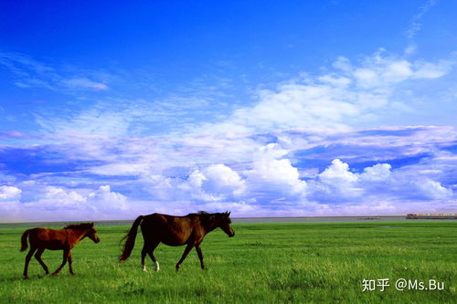 最佳旅游时间？呵呵！