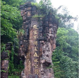 二、 袁家界与天子山核心景区探索，腿都要断了