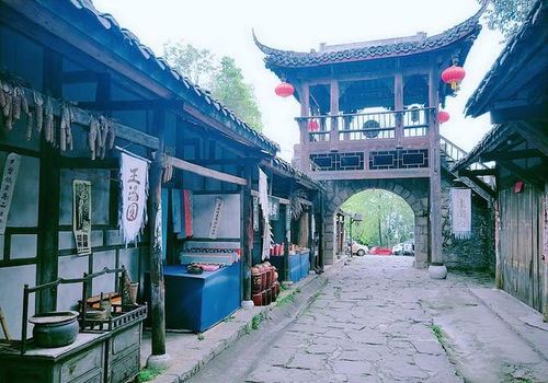 活动安排：时光里的跳跃指南