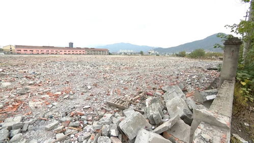 二、 为何要拆除——城区持续发展与遗产冲突