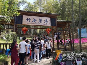7. 项城森林公园：迷路的好地方