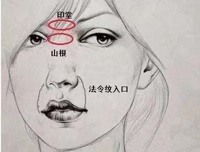 属狗女生的典型面相特征