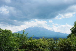 东京出发：挤成照片or贵到破产？