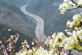 二、 途中——雾霾中的“金溪湖特较大桥”