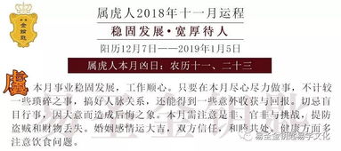 今儿个运气咋样？瞅瞅呗！
