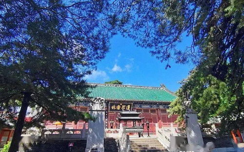 三、 实地探访——我走进了一个叫“云端较小屋”的地方，最终还是结果是...