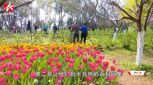 二、 春日赏花：别样风情（或着说是乱七八糟）