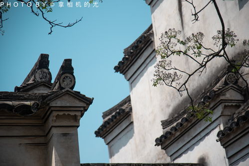 沉睡千年的文明密码