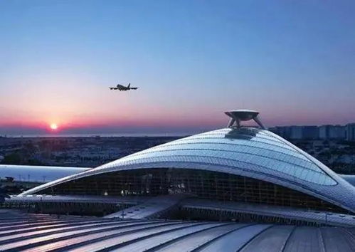 2026年交通大乱斗：当磁悬浮撞上生肖禁忌