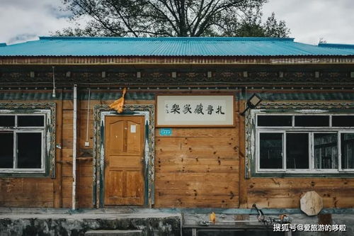 （一）天岳书院里的枪声