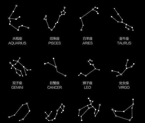 关于星座和生肖的那些事儿