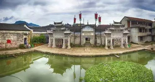 天然之美， 享受春日时光