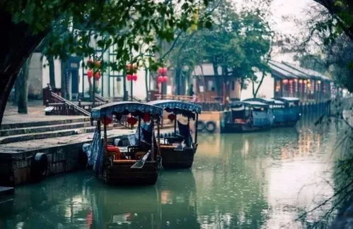 百间楼：活体养老院观察日记