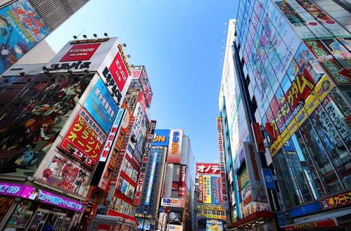 购物？不如直接抢钱