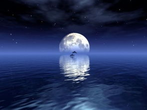 古寺的夜晚，总是有些阴森