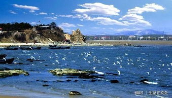 ：为何北戴河与众不同？（我也不知道为什么要加问号）