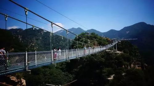 这条破路有啥好看的？华北平原的