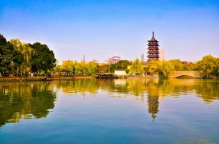 门票查询：一场骗局