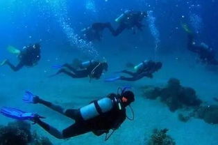 一、长沙海底世界概况与核心亮点——乱七八糟版