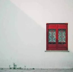 窗户外有大树用什么挡煞,窗户外有大树用什么挡煞
