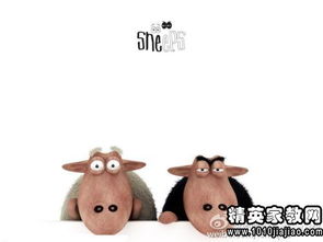 生肖羊：温顺背后的颤抖