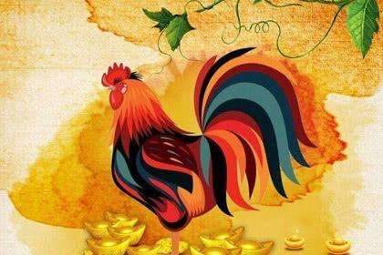 感情：桃花不旺反惹愁