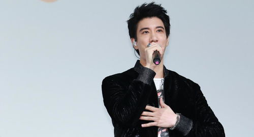 其他知名人士：王力宏与王志文
