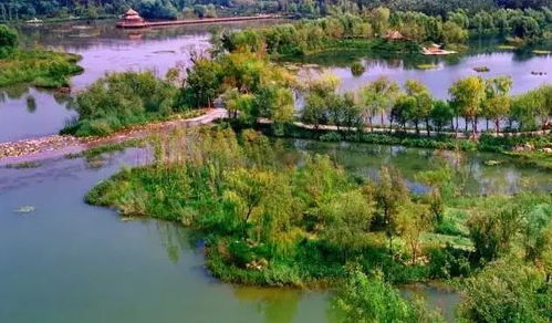 白浪绿洲湿地公园：天然与现代化的碰撞