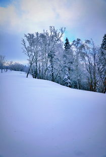 雪原の accommodation—別聽網紅吹！實測後想罵街