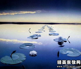 出门在外的危险预警