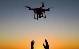 ：笨鸟的宿命与深渊的凝视