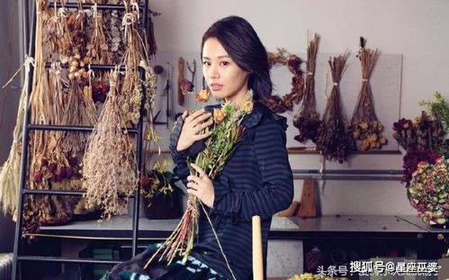 天秤座：奥斯卡欠他们一座小金人
