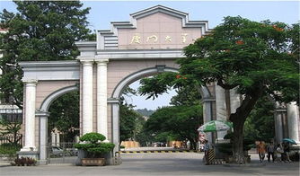 第三天：大学校园与佛光普照