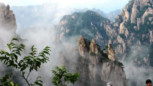 黄山——奇松怪石， 人间“垃圾”