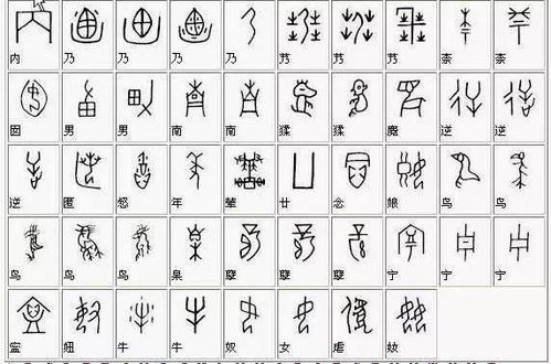 南字对应的生肖是哪个？这生肖的动物特点是什么呢？