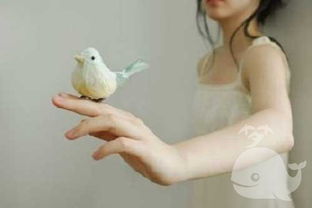 孕妇梦见银狐，这预示着将来会发生什么忒别的事情吗？