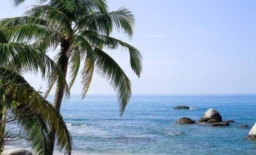 景点：贵到肉疼VS无聊到睡着