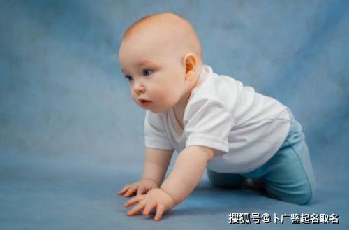 2026年龙年出生的宝宝名字有哪些美好寓意？