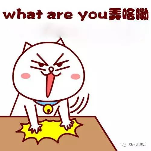 今年脱单几率大不大？情侣匹配度测试，我能顺利脱单吗？