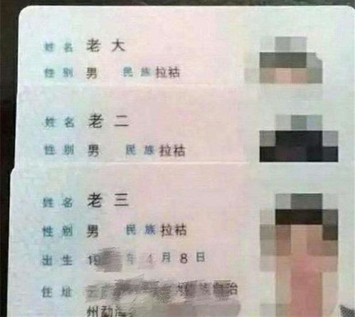 姓名的十分沉关键性