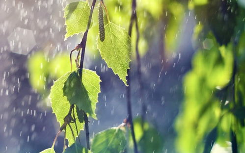 星座和雨水三元不得不说的秘密