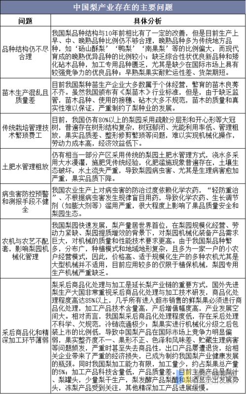王琎琎名字评分分析及优化建议