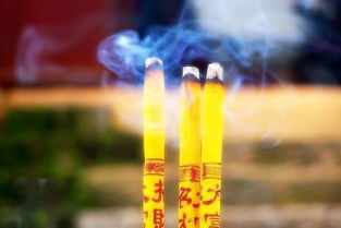 定制化觉得嫩——随机生成版（真心乱写）