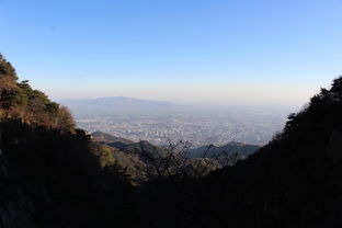 登山杖到底是神器还是累赘