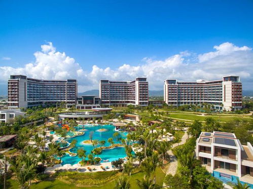 一、 梦碎天涯海角：一场期待已久的“渡劫”之旅