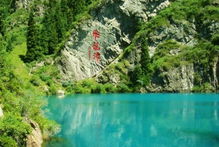 导游小姐姐绝了！