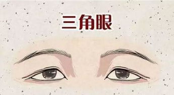 相信自己，改变命运！不要再犹豫了快点来算一算你的八字吧！周易算命网提供专业的八字算命、周易测算、在线解签、塔罗牌占卜、六爻占卜、姓名测试、生肖运势等服务。我们的专业团队将为您提供准确、详细的分析，帮助您更好地了解自己的命运，找到改善生活的方法。马上访问我们的网站，让我们一起探索未知！如果你想了解更多关于你的命运， 就赶快来周易算命网免费测八字算命大全下载手机版app最新版安装/,在这里你可以看到更多的关于你的命运的信息，比如说2024年事业运如何？2024年爱情运如何？2024年财运如何？在这里你都可以找到答案。